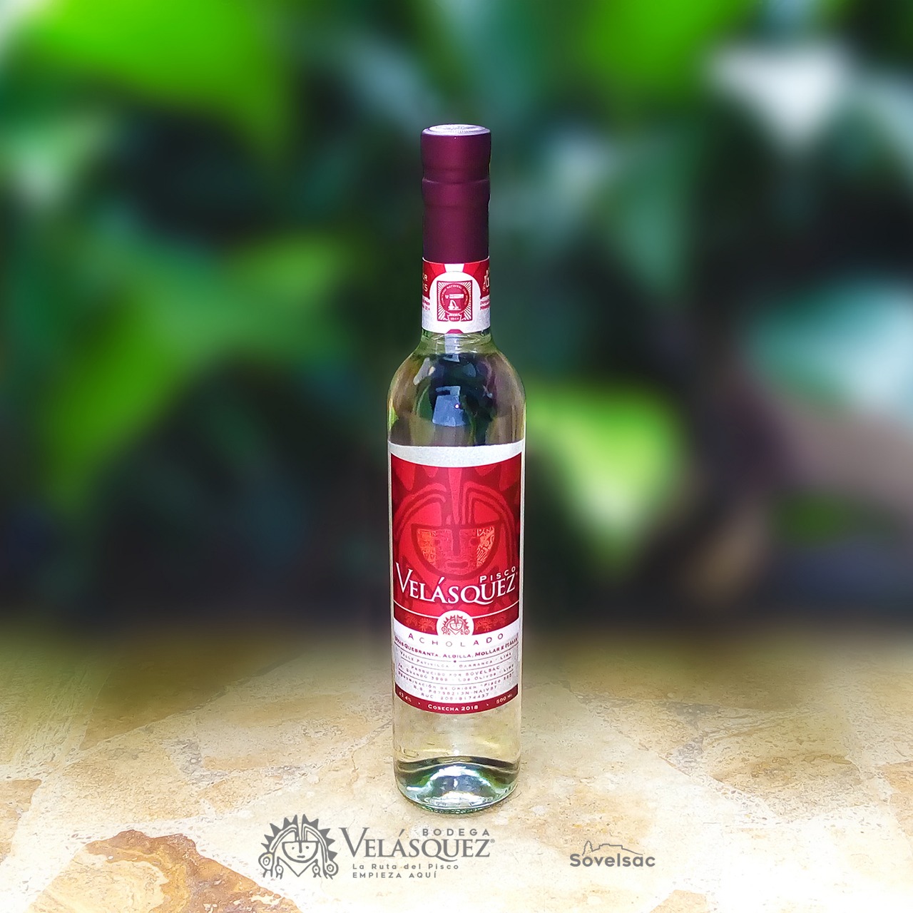 Pisco Acholado